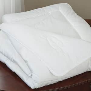 DownTown Company Ecco Comforter