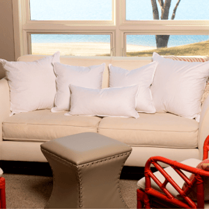 Throw Decorative Pillows