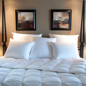 Limited Item: Avalon, 600 Hypodown Duvet Insert