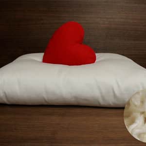 Natural Kapok Pillows