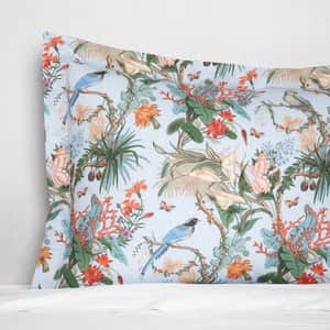 Cinque Terra Sham