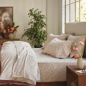 Organic Print Percale Sheet Set