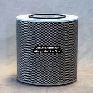 Allergy Machine Filter