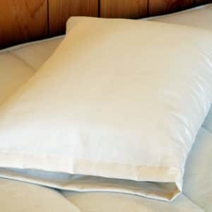 Snuggle Pillow