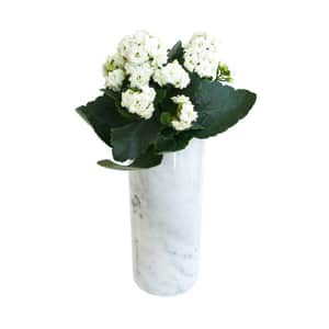 Fiammetta V Italian Marble Cylindrical Vase