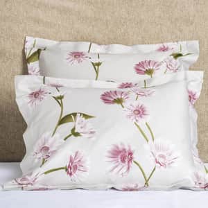 Gerbera Sham