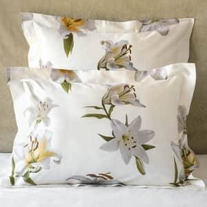 Lilium Sham