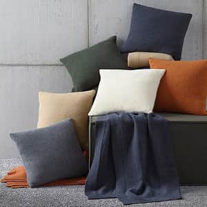 Pettra Decorative Pillow