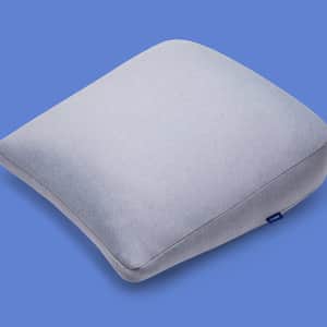 Backrest Pillow