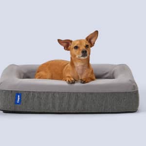 The Dog Bed