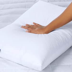 Down Pillow