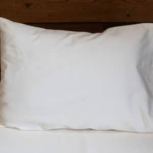 All-Natural Travel Pillow