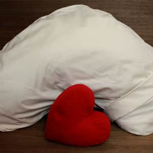 Side Dreamer Pillow