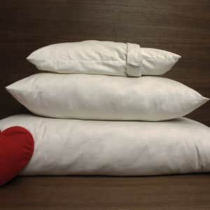 Organic Shredded Latex Pillows
