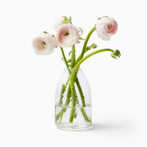 Vortice Vase