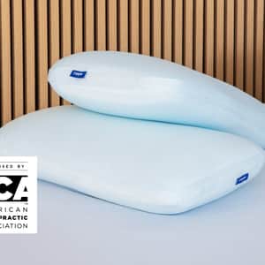 Hybrid Snow Pillow Double Pack