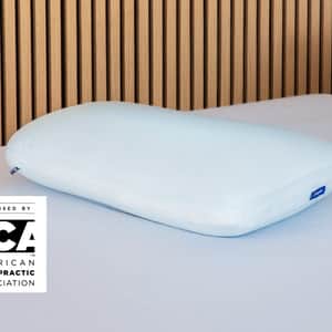 Hybrid Snow Pillow