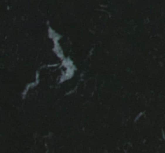 Fiammetta V Italian Marble Pet Bowl with Stainless Steel Insert image