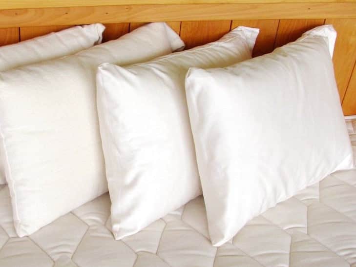 All-Natural Travel Pillow image