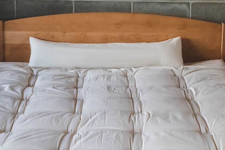 All-Natural Body Pillows image