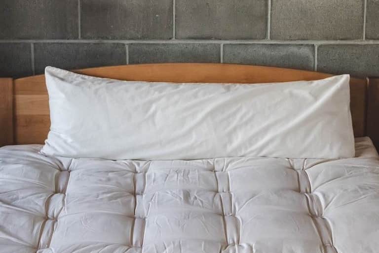 All-Natural Body Pillows image
