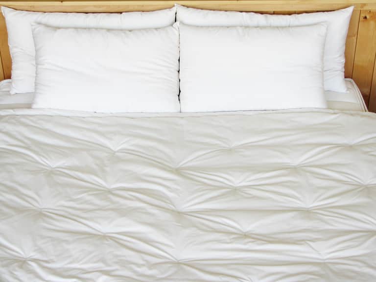 Holy Lamb Organics Certified Organic Wool Comforter