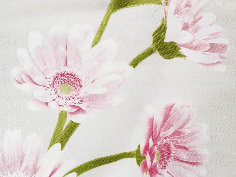 Gerbera Duvet Cover image