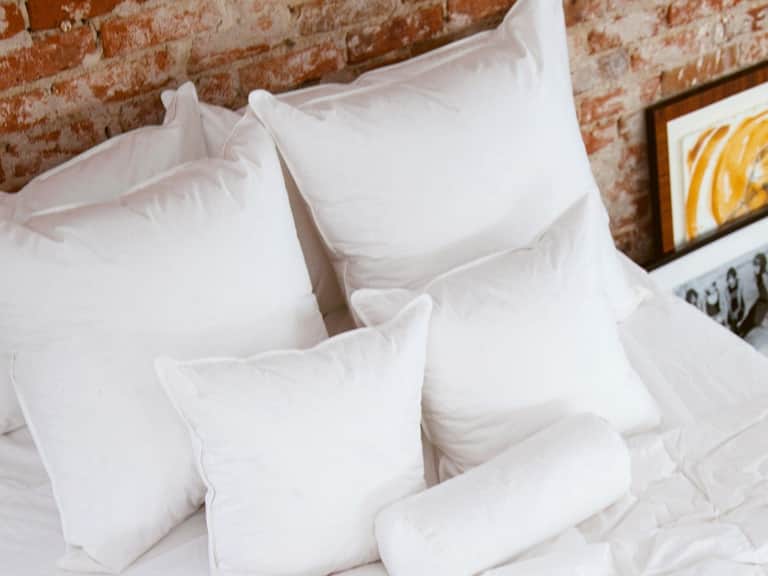 Throw Decorative Pillows image