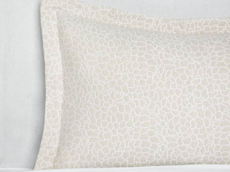Aurelia Sham image