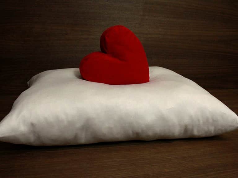 Organic Shredded Latex Pillows image