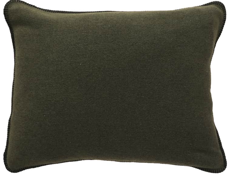 Solid Sage Pillow Sham image