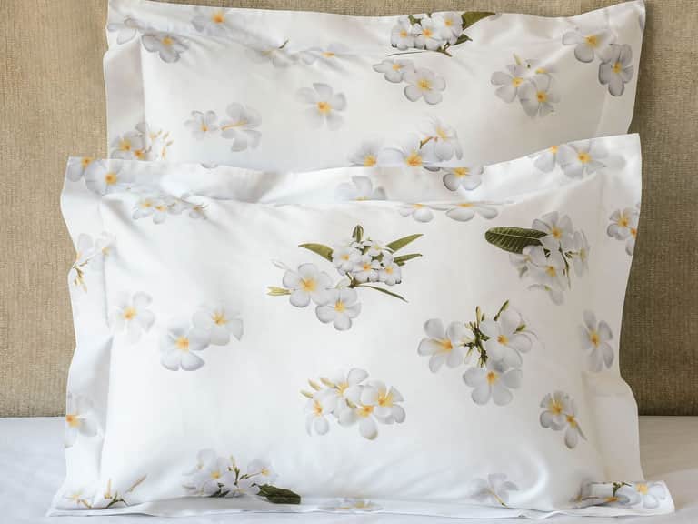 Frangipani Sham image