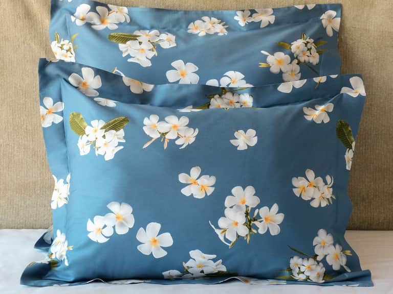 Frangipani Sham image