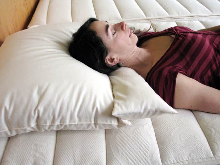 Certified Organic Neck Roll image