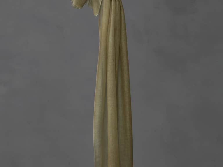 Pal Twill Scarf image