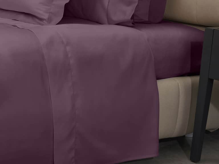 Raffaello Flat Sheet image