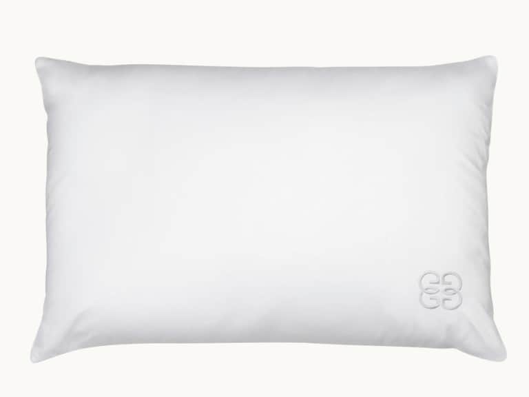 100% Silk Filled Pillow image