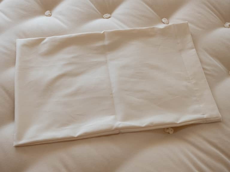 Rejuvenation Pillow: Natural Wool & Millet image