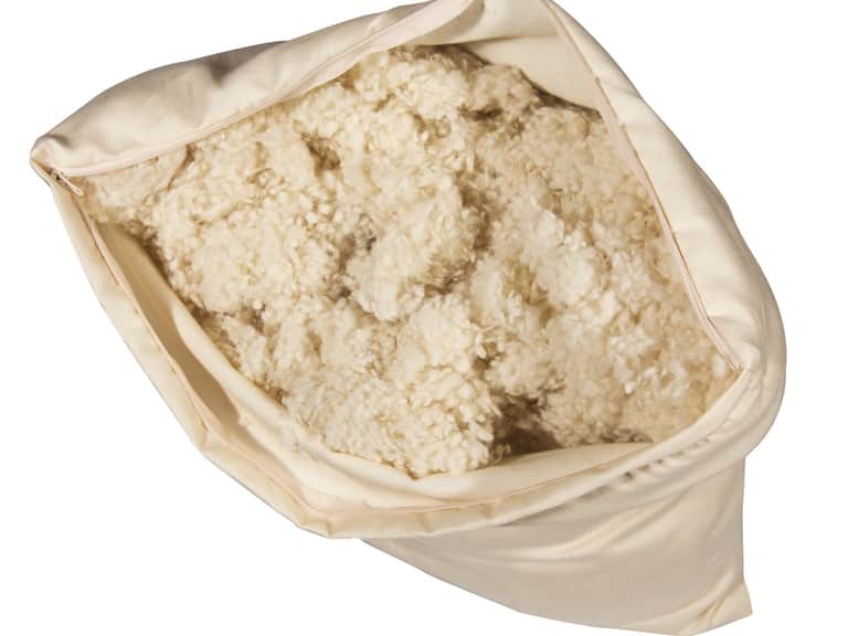 Wooly Bolas Pillow image