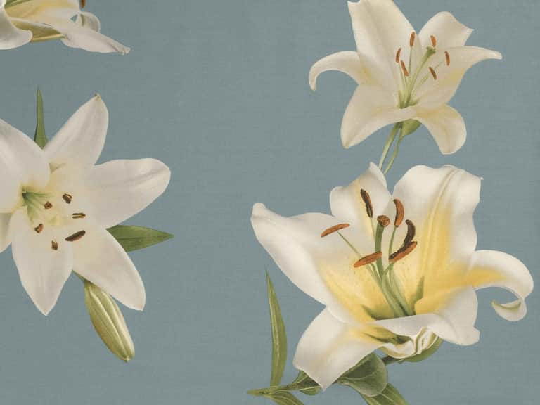 Lilium Duvet Cover image
