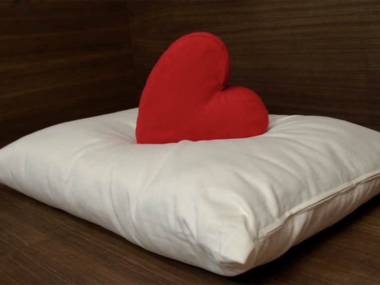 Natural Kapok Pillows image