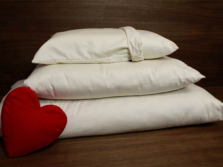 Natural Kapok Pillows image