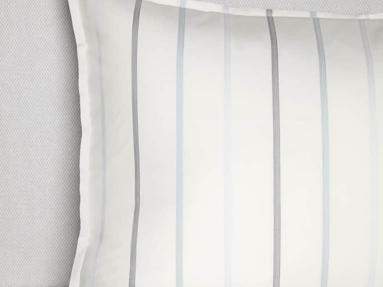 Striscia Sham image