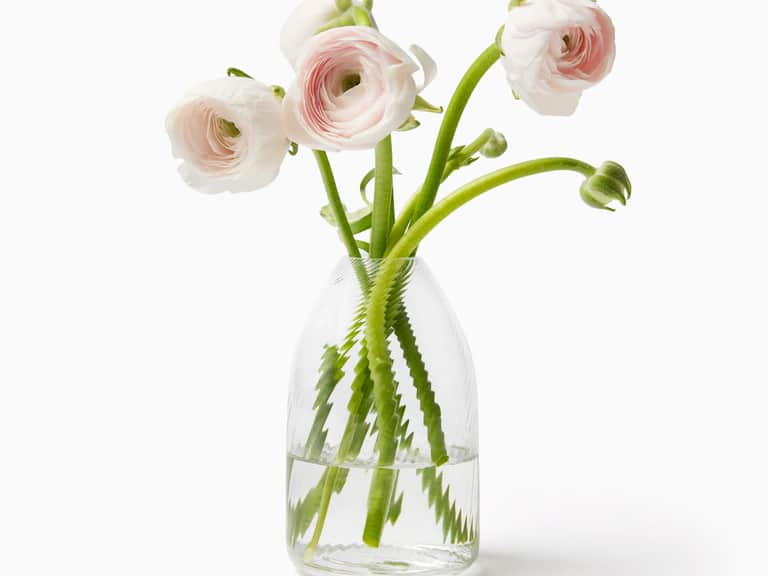 Vortice Vase image