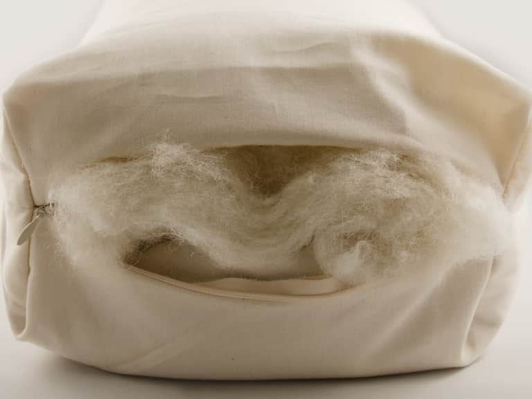 Shambho Pillow image