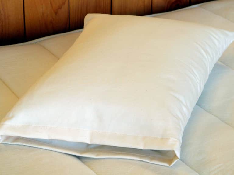 All-Natural Travel Pillow image