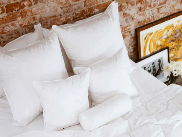 Euro Decorative Pillows image