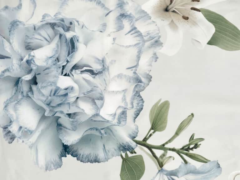 Gioia Duvet Cover image