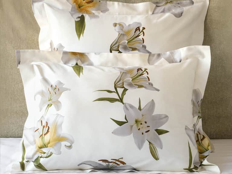Lilium Sham image