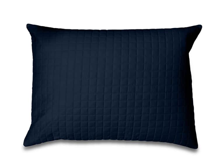 Masaccio Quilted Decorative Pillow Sham image